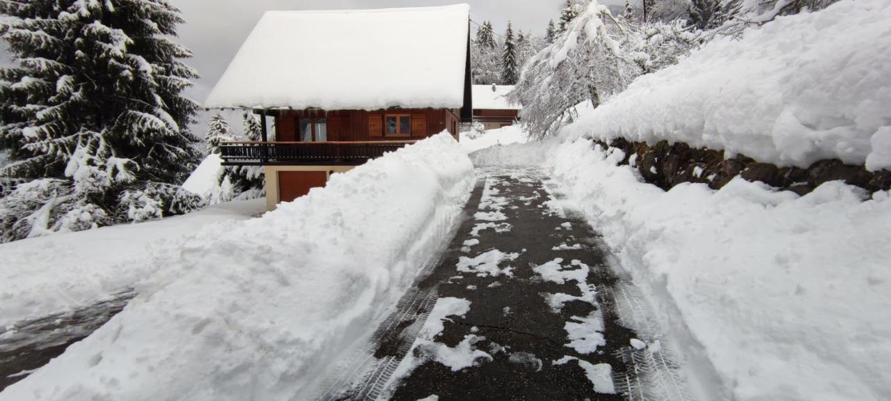 Chalet L'Alpe Saint-Pierre-d'Entremont  Exterior foto