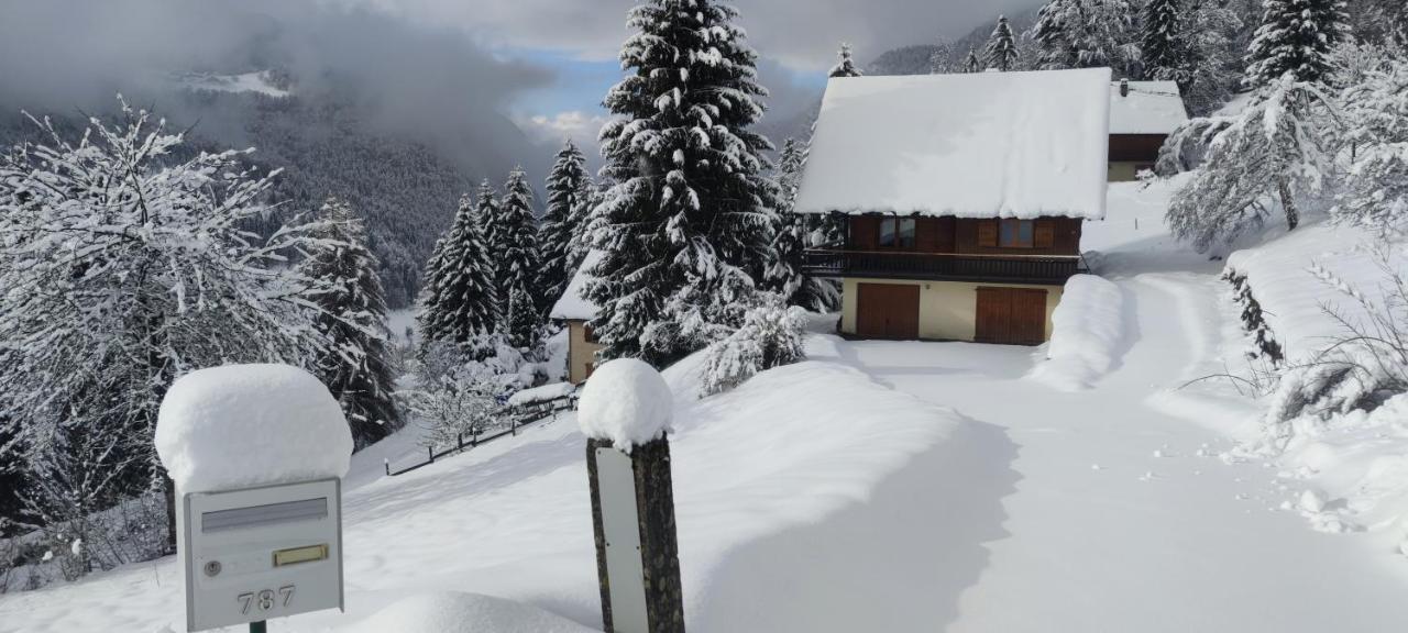 Chalet L'Alpe Saint-Pierre-d'Entremont  Exterior foto